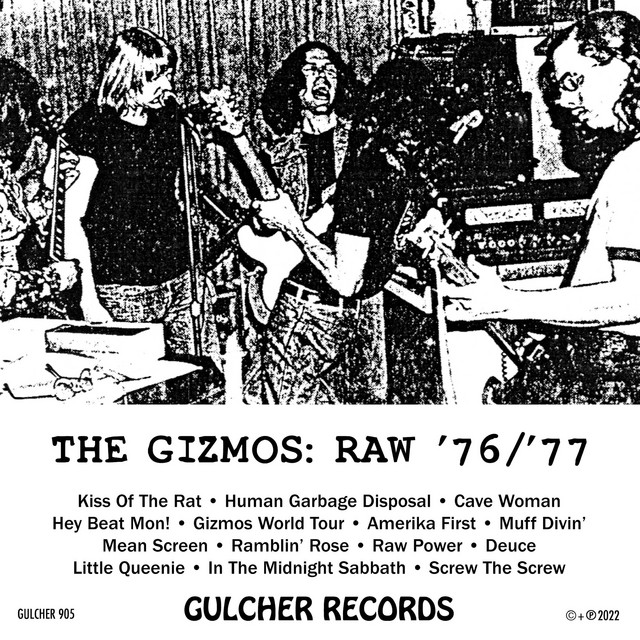 Raw '76/'77 album cover