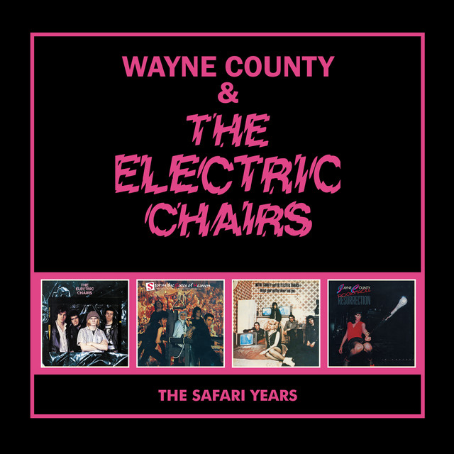 The Safari Years album cover