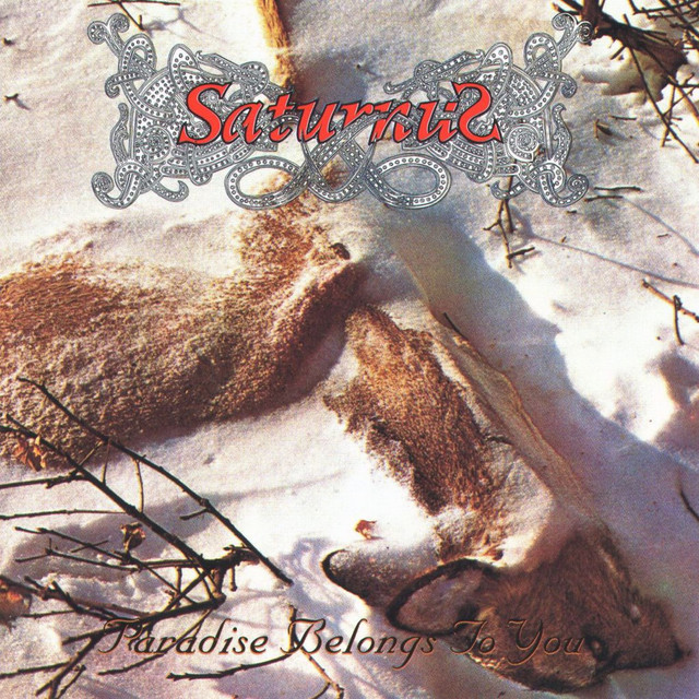 Paradise Belongs To You album cover