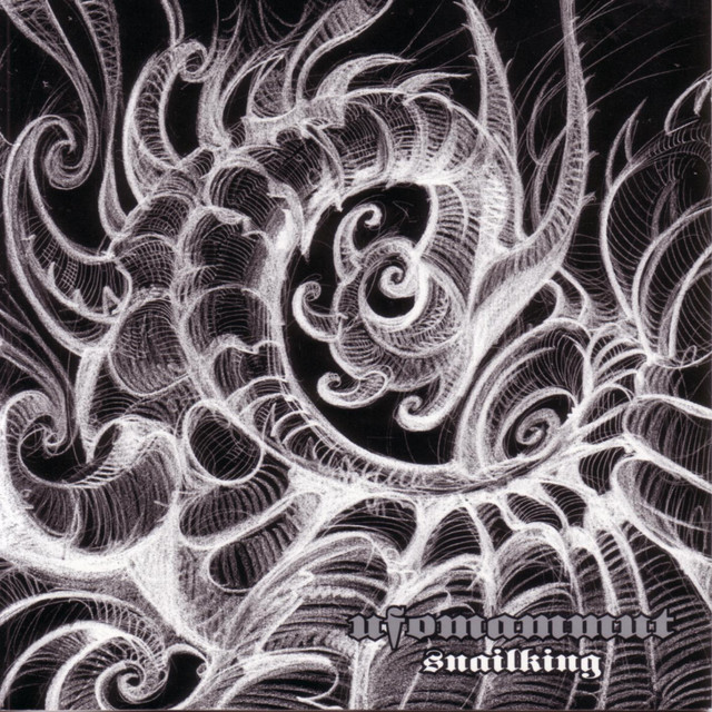 Boss BD-2 Blues Driver as heard on Snailking by Ufomammut (2004)