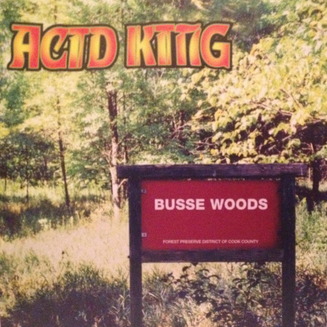 Busse Woods album cover