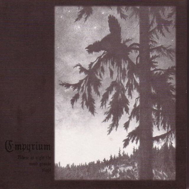 Where at Night the Wood Grouse Plays album cover