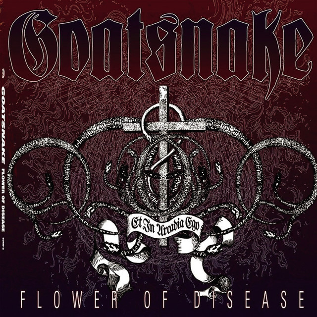 Flower Of Disease album cover