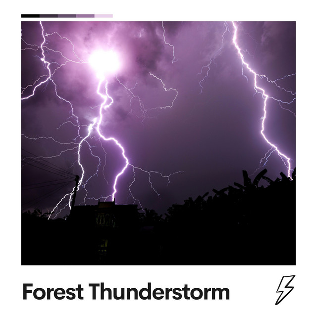 Forest Thunderstorm album cover