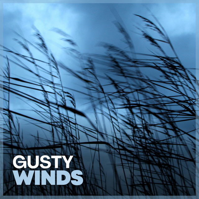 Gusty Winds album cover