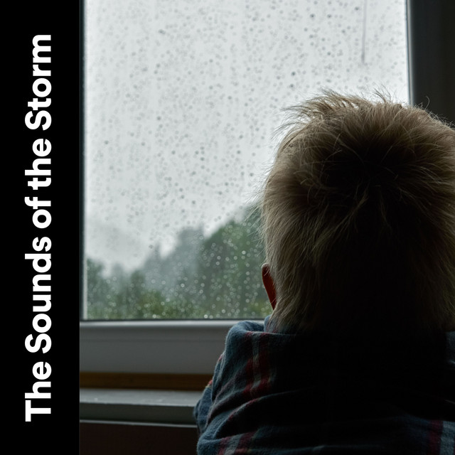 The Sounds of the Storm album cover