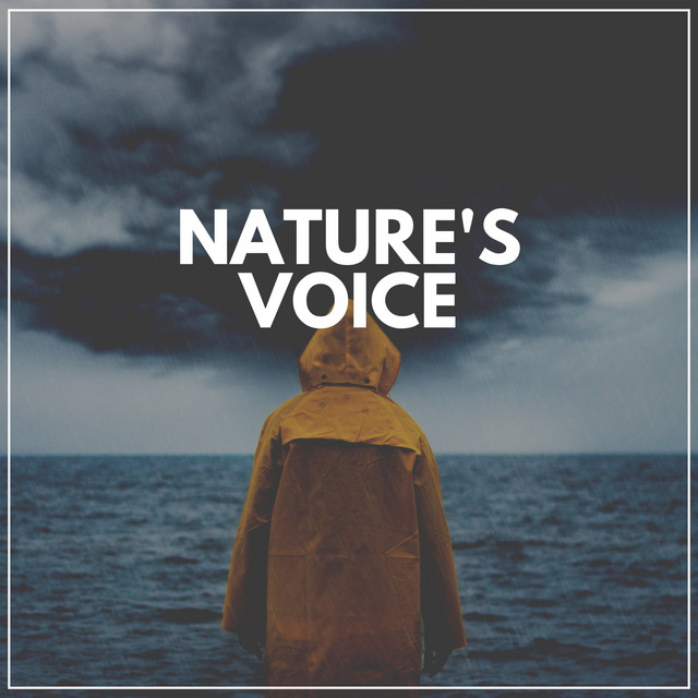 Nature's Voice album cover