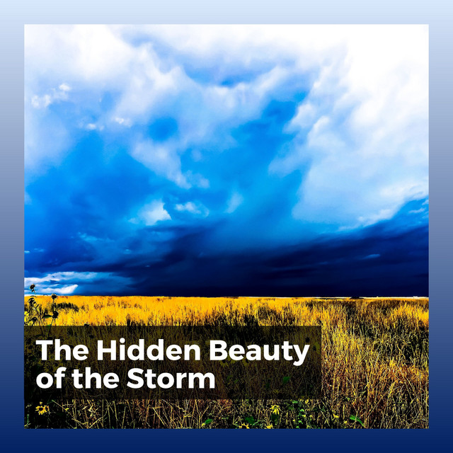 The Hidden Beauty of the Storm album cover
