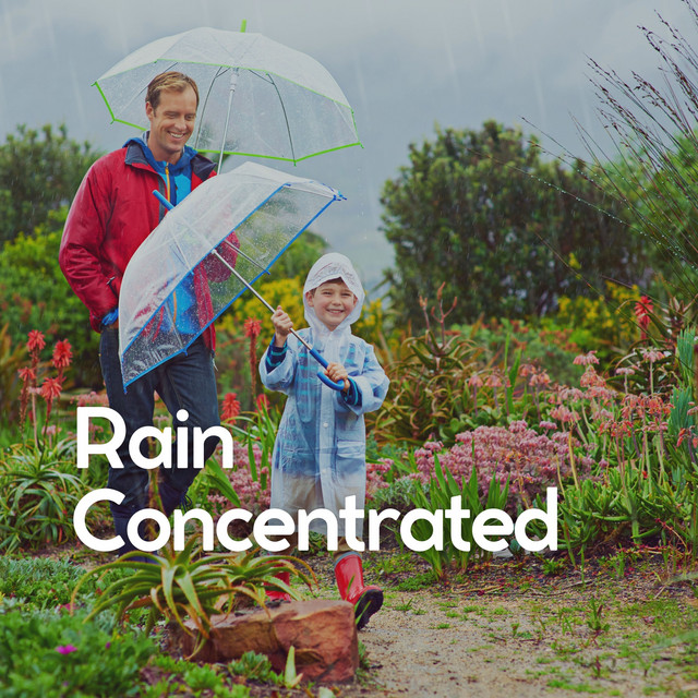 Rain Concentrated album cover
