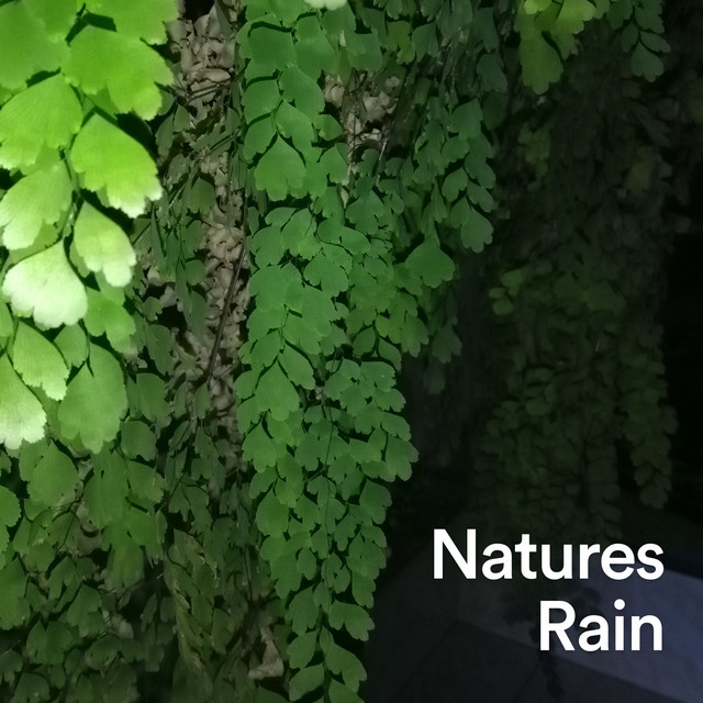 Natures Rain album cover