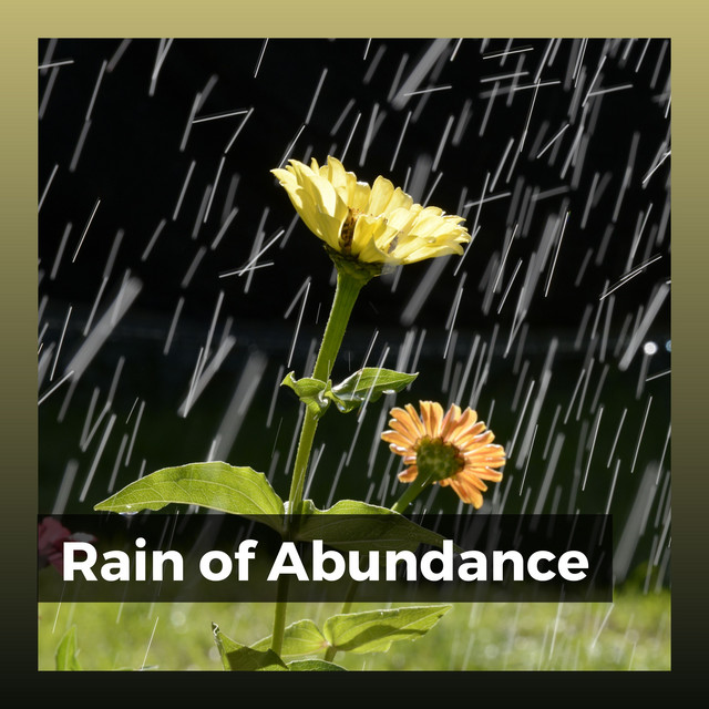 Rain of Abundance album cover