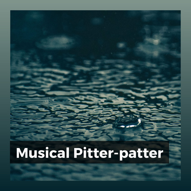 Musical Pitter-patters album cover