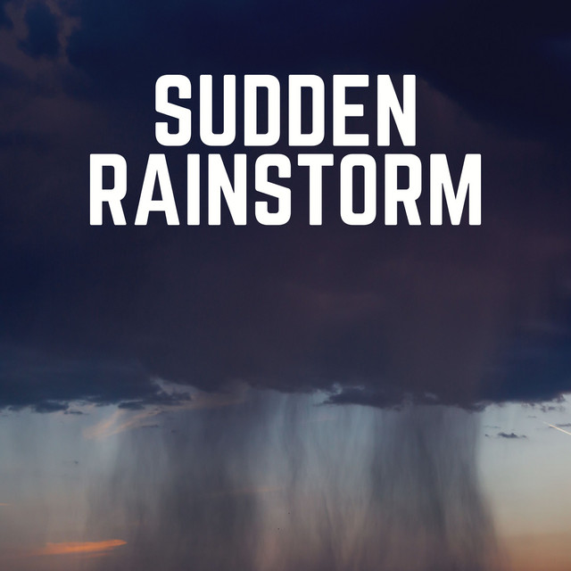 Sudden Rainstorm album cover