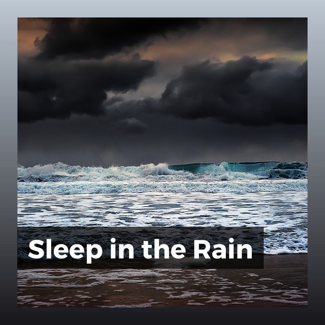 Sleep in the Rain album cover