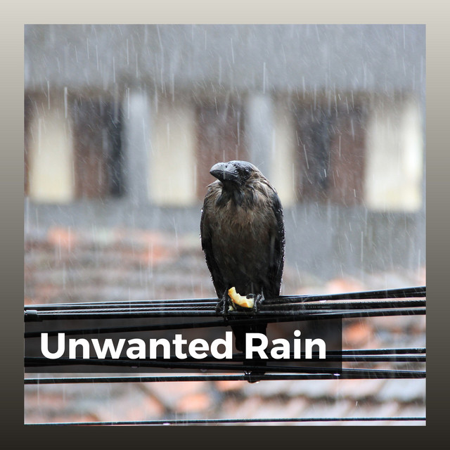 Unwanted Rain album cover