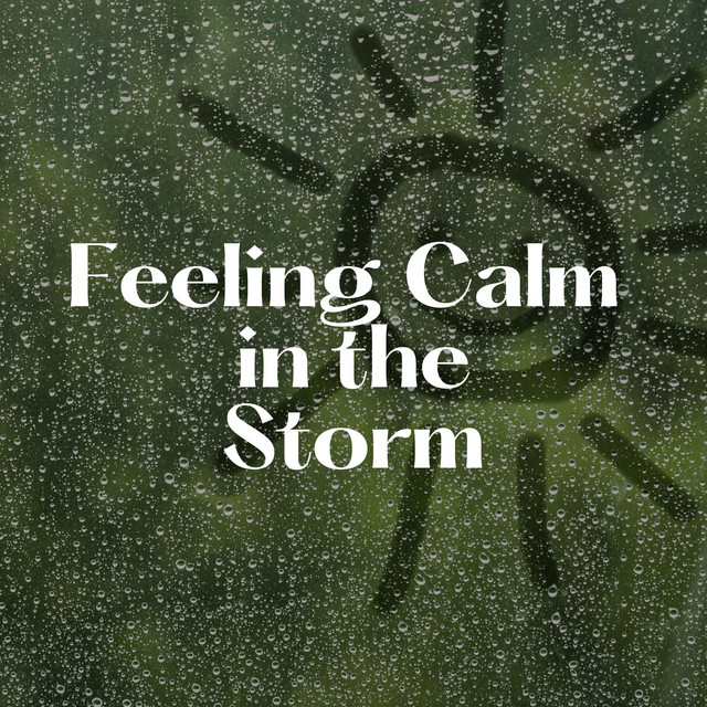 Feeling Calm in the Storm album cover