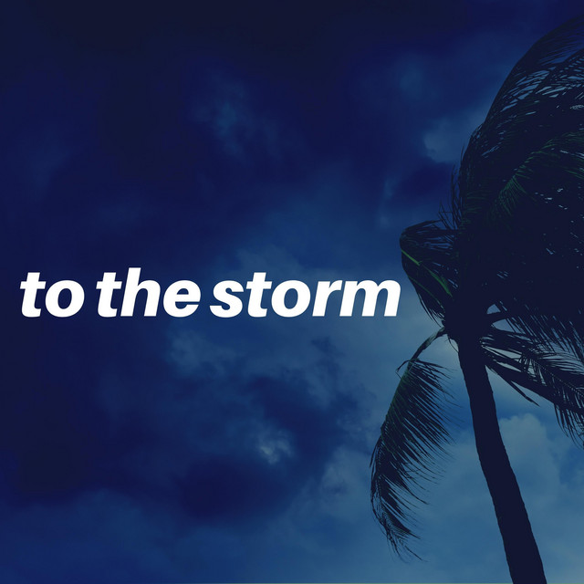 To the Storm album cover