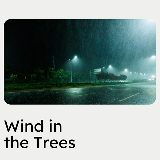 Wind in the Trees album cover