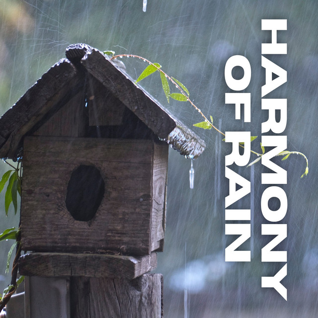 Harmony of Rain album cover