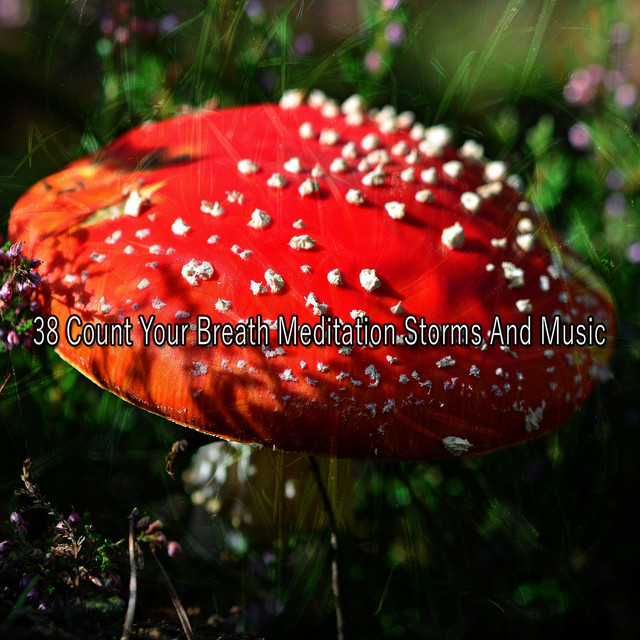 38 Count Your Breath Meditation Storms And Music album cover