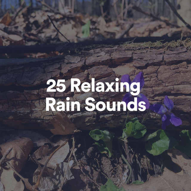 25 Relaxing Rain Sounds album cover