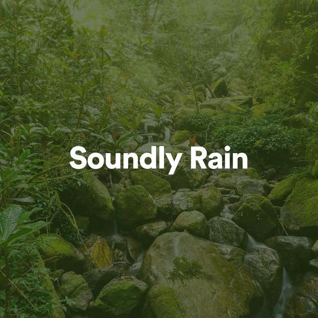 Soundly Rain album cover
