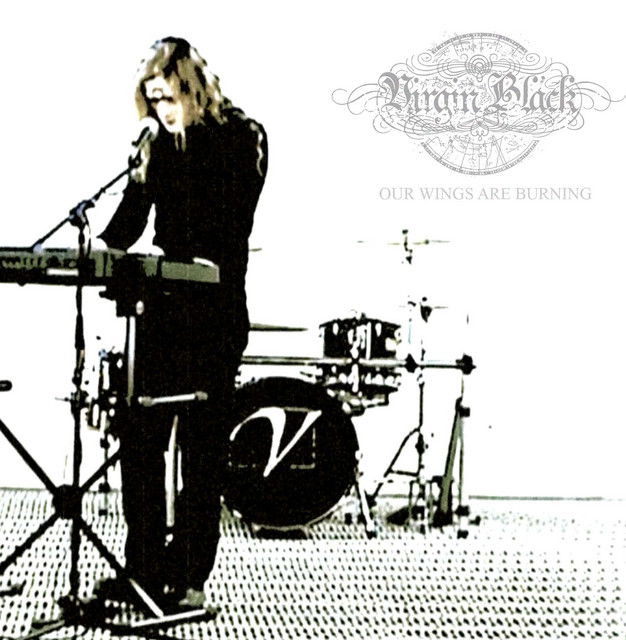 Charvel 475 as heard on Our Wings Are Burning by Virgin Black (2003)