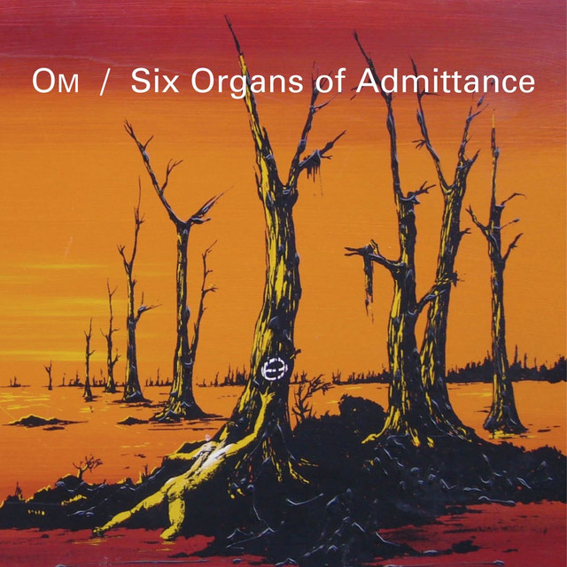 Arturia MiniBrute Analog Synthesizer as heard on Bedouin’s Vigil / Assyrian Blood by OM & Six Organs of Admittance (2006)