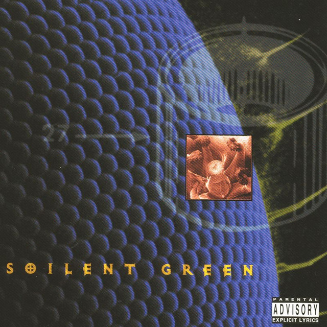 Pussysoul album cover