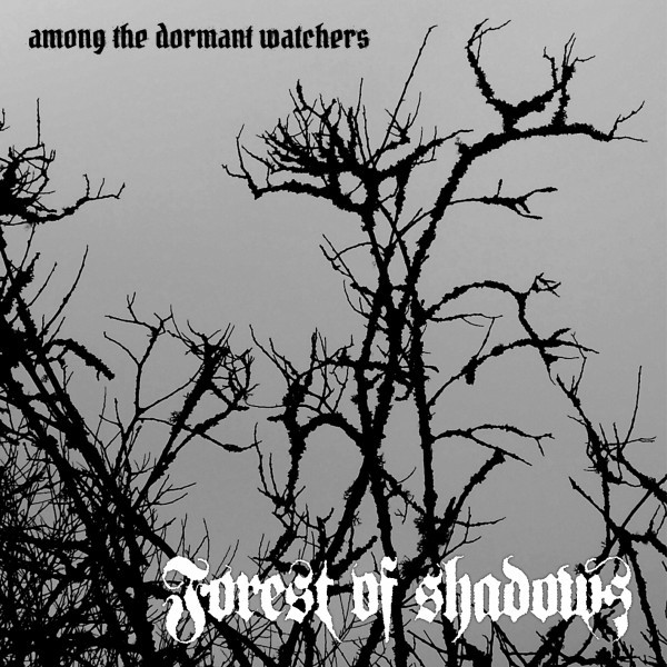 Among the Dormant Watchers album cover