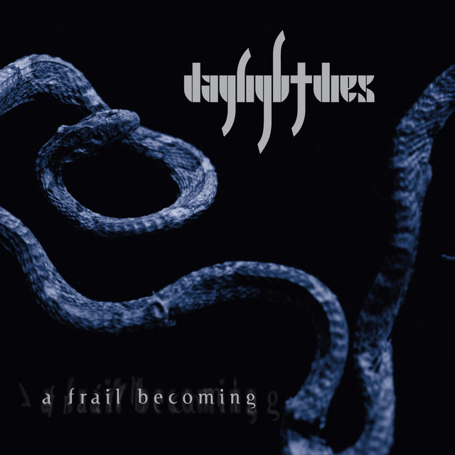 A Frail Becoming album cover