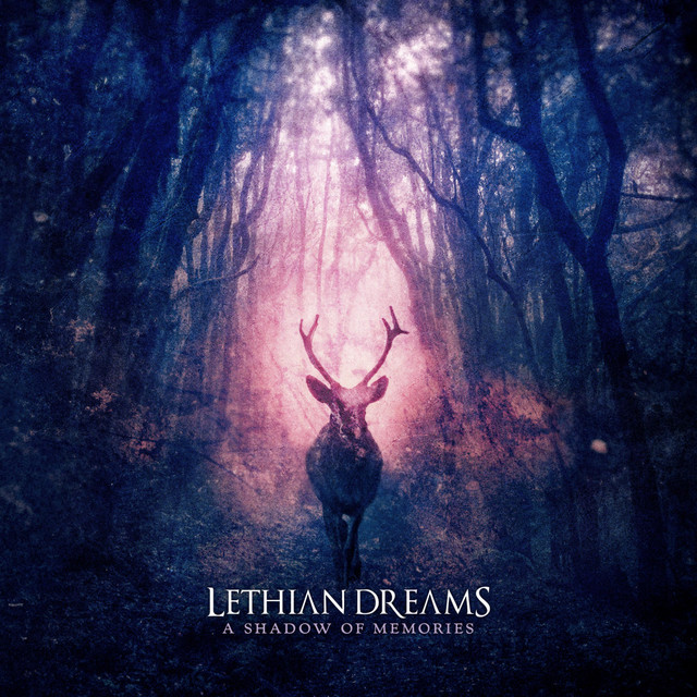A Shadow of Memories album cover