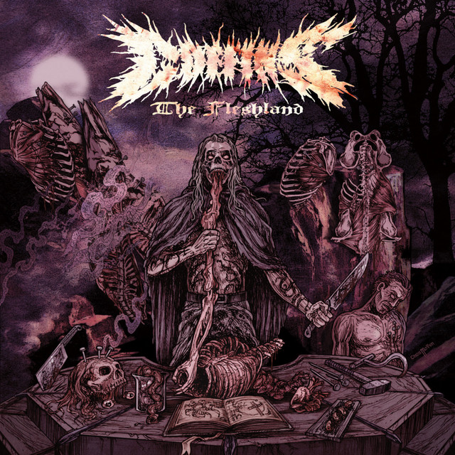 The Fleshland album cover