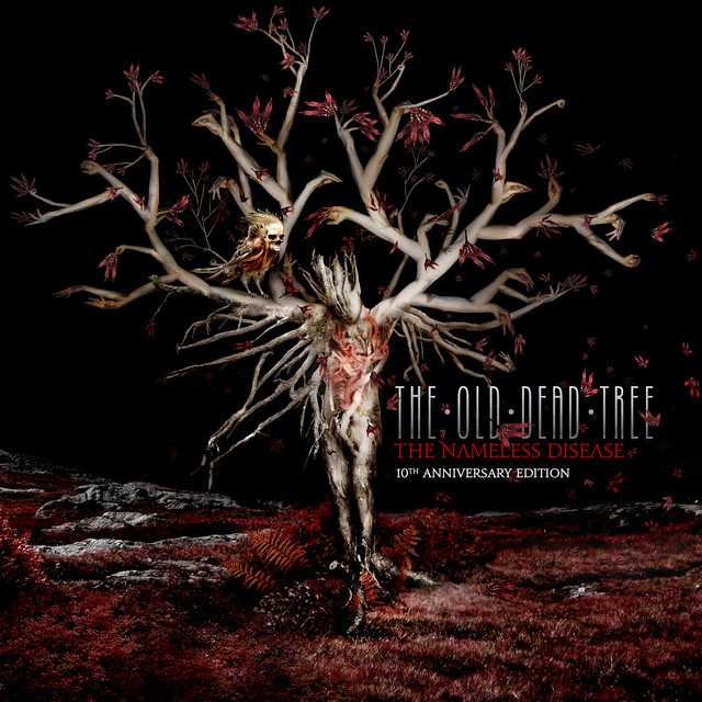 The Nameless Disease album cover