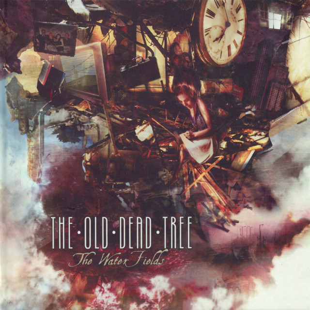 The Water Fields album cover