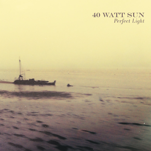 Perfect Light album cover