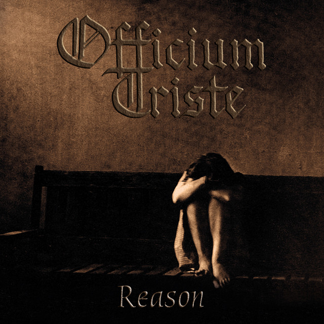 Reason album cover