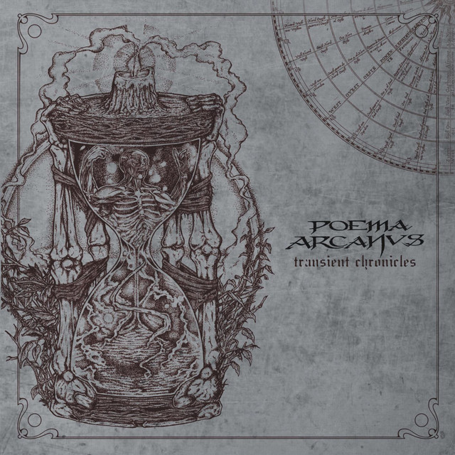 Transient Chronicles album cover