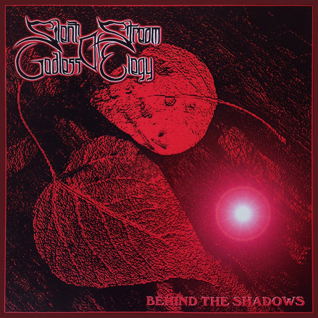 Behind the Shadows album cover