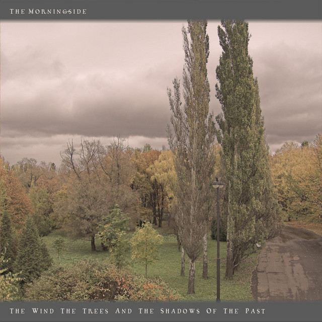 The Wind, The Trees and the Shadows of the Past album cover