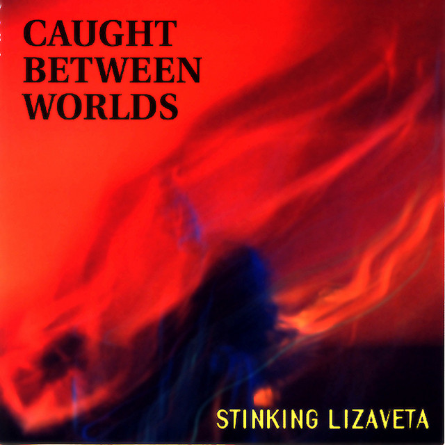 Caught Between Worlds album cover