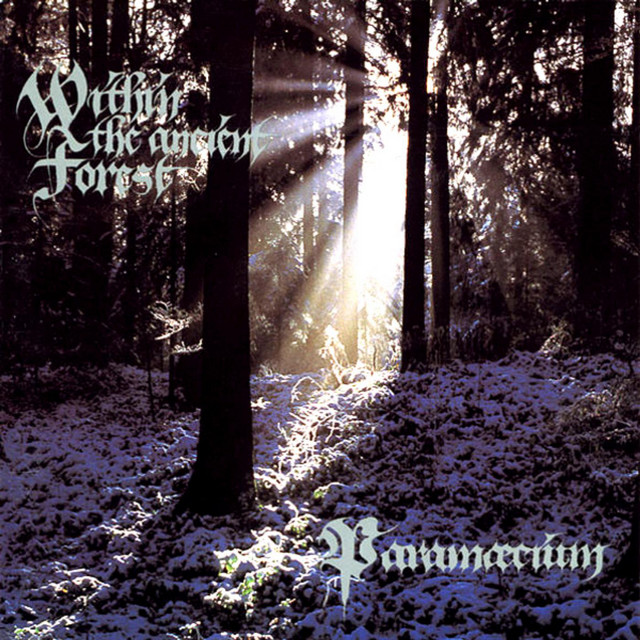 Within the Ancient Forest album cover