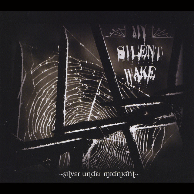 Silver Under Midnight album cover