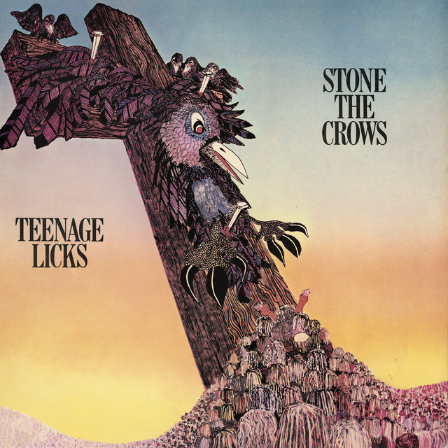 Teenage Licks album cover