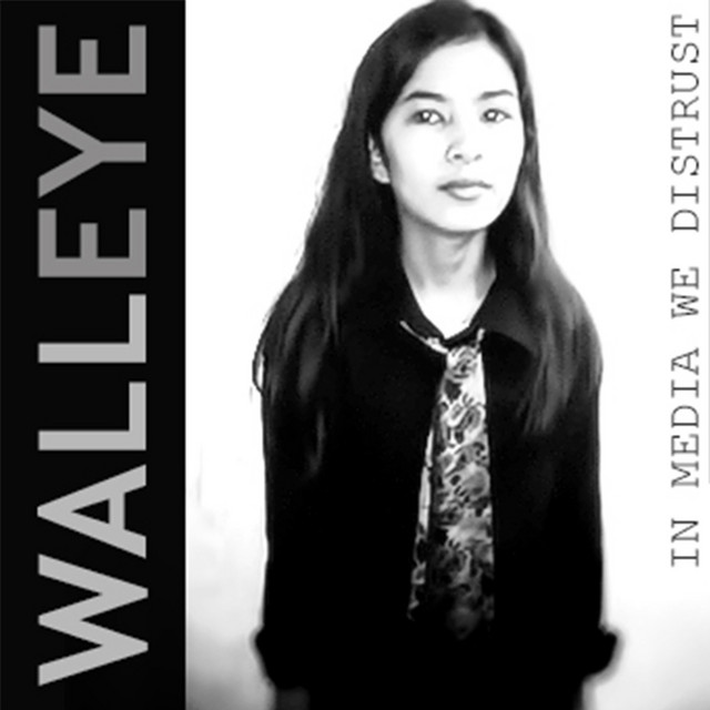 In Media We Distrust album cover