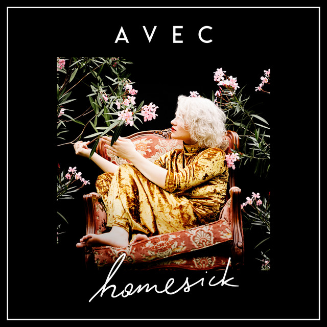 Homesick album cover