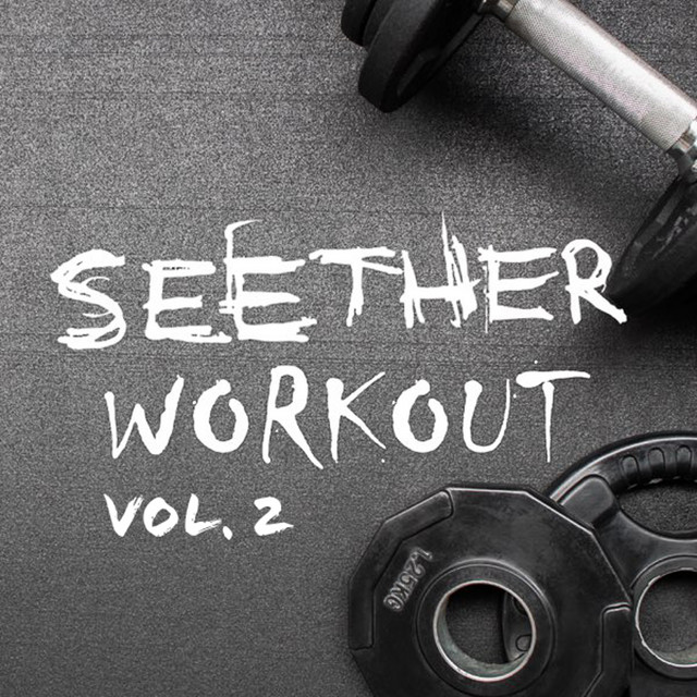 Seether Workout Vol. 2 album cover