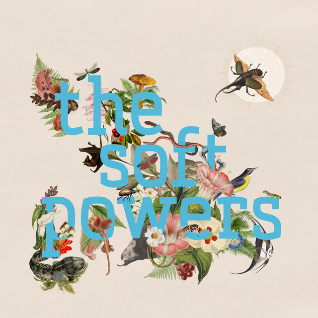 The Soft Powers album cover