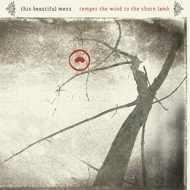 Temper the wind to the shorn lamb album cover