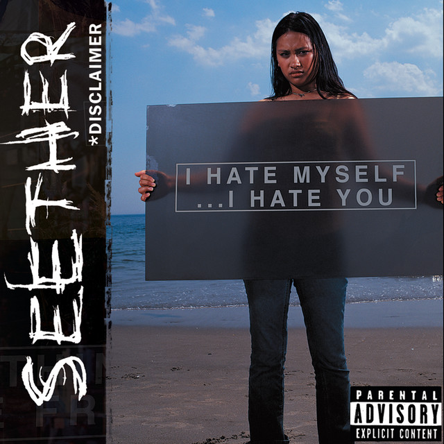 Disclaimer album cover